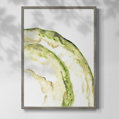 Lichen Halo VI Framed Print - Solid Wood