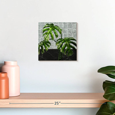 Harnek Monstera feuilles sur marbre noir et carreaux