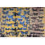 Parvez Taj - Wrapped Canvas Print-15986980