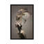 « magma monte », impression sur toile-20918966-73080256-73080257