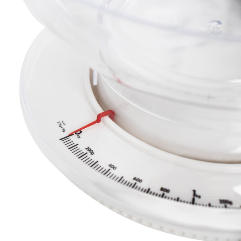 Salter Scale