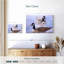Canards-1421029754