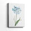 Garden Botanical I -Galery Enveloppé Cavas-108843608