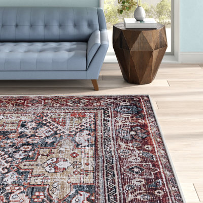 Allan Washable Oriental Indoor Rug