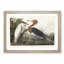 Heron by John Audubon - Picture Frame Painting Print-55601766-55601762