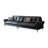 Black Genuine Leather Standard Sofa
