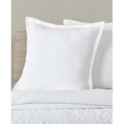 Birchwood Euro Sham