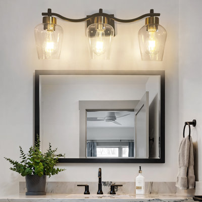 Black Vanity Light With Seeded Glass Shade