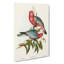 Rose-Breasted Cockatoos by Elizabeth Gould - Wrapped Canvas-55324046