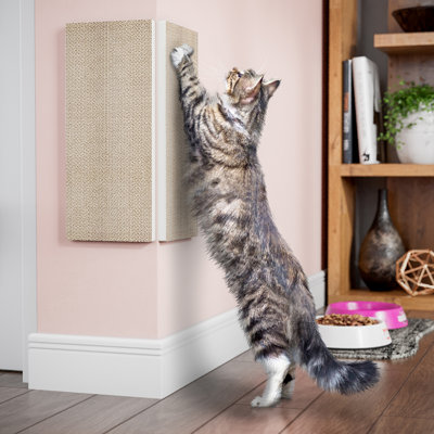 Calisha Scratching Post