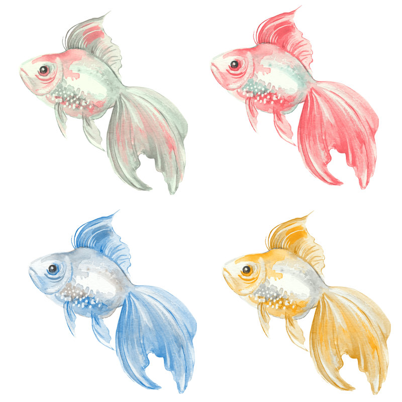 Fish Set - Wrapped Canvas Print, 91cm H x 91cm W