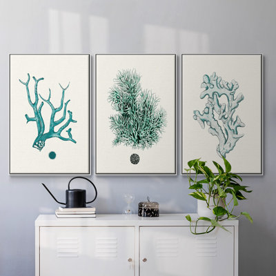 " Antique Coastal Coral IV " 3 Piece Art Oil Set