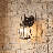 Alhaji 1 Light Wall Lantern in Bronze-622358930