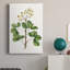 «Foliage and Blooms IV», impression sur toile tendue-1497266025
