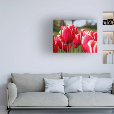 Suzanne Bonin Look At Us Canvas Art