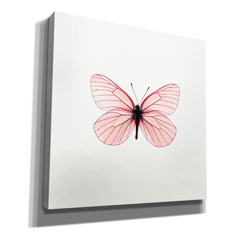 «Papillon rose» par PhotoINC Studio, H 26 po x l 26 po x P 1,5 po