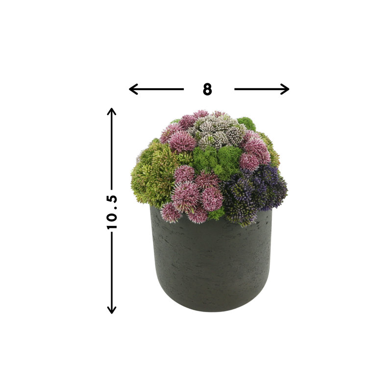 Assorted Sedum Arranged In A Fiberstone Vase, Black