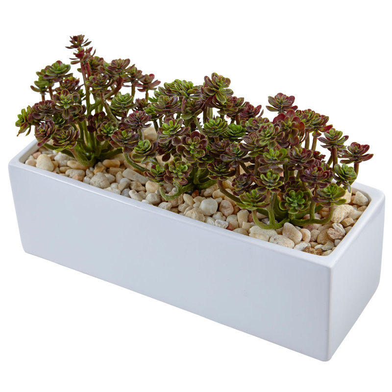 7.75'' Faux Foliage Plant in Ceramic Basket