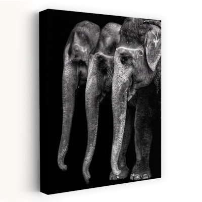 «Painted Indian Elephants», art mural contemporain