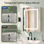 Armoire à pharmacie avec miroir à DEL 24 po x 30 po DeerValley, à fixation murale, à intensité variable, anti-buée, tablettes réglables, prise de courant encastrée, DV-1MC0499-125525595