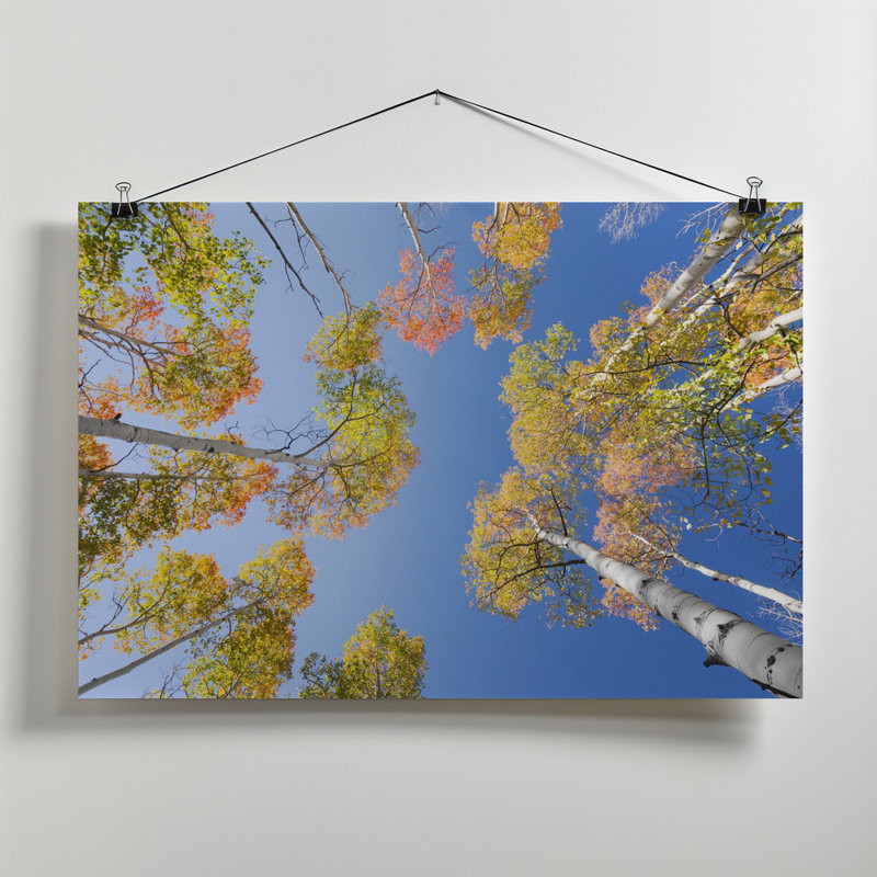 Wrapped Canvas Print, 50.8 cm H x 76.2 cm W