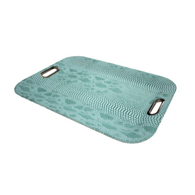 Nicolet Tray