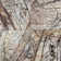 12" X 12" Micro-beveled Forrest Brown Marble Wall and Floor Use Tile