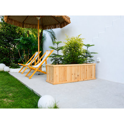Barros Solid Cedar Rectangular Planter Box with Drainage Holes