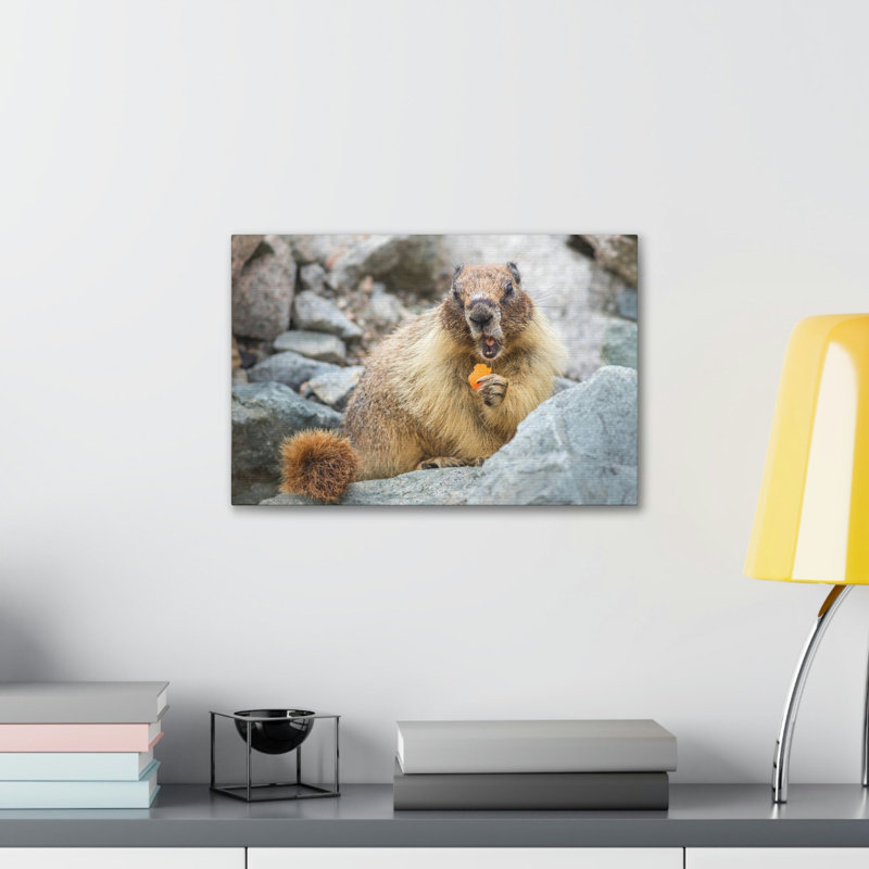 No Frame Print on Canvas, 30.48cm H x 40.64cm W
