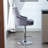 Desiree Swivel Upholstered Adjustable Height Counter Stool with Metal Frame