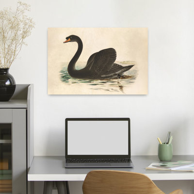 Cygne noir antique, art animalier contemporain
