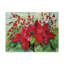 Joanne Porter - poinsettia rouge - impression sur toile tendue-27489289