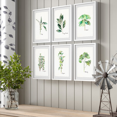 " Herb Family II Hexaptych " by Rachel Byler 6 - Pieces