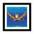Blanc n'est pas disponible