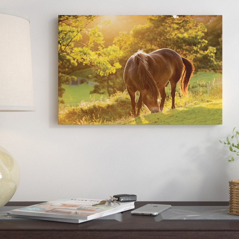 « examarrage pony », reproduction de photo sur toile tendue, H 18 po x l 26 po x P 1,5 po