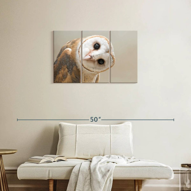 Barn Owl Gaze, 20" H x 33" W
