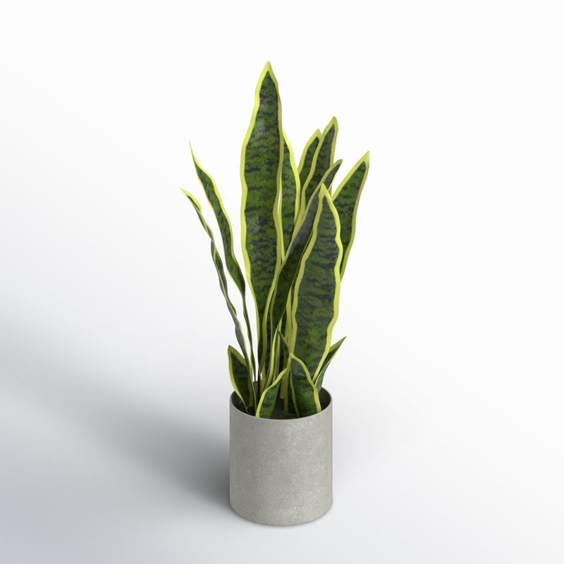 Artificial Sansevieria Snake Plant in Pot, 18'' H x 9'' W x 6'' D