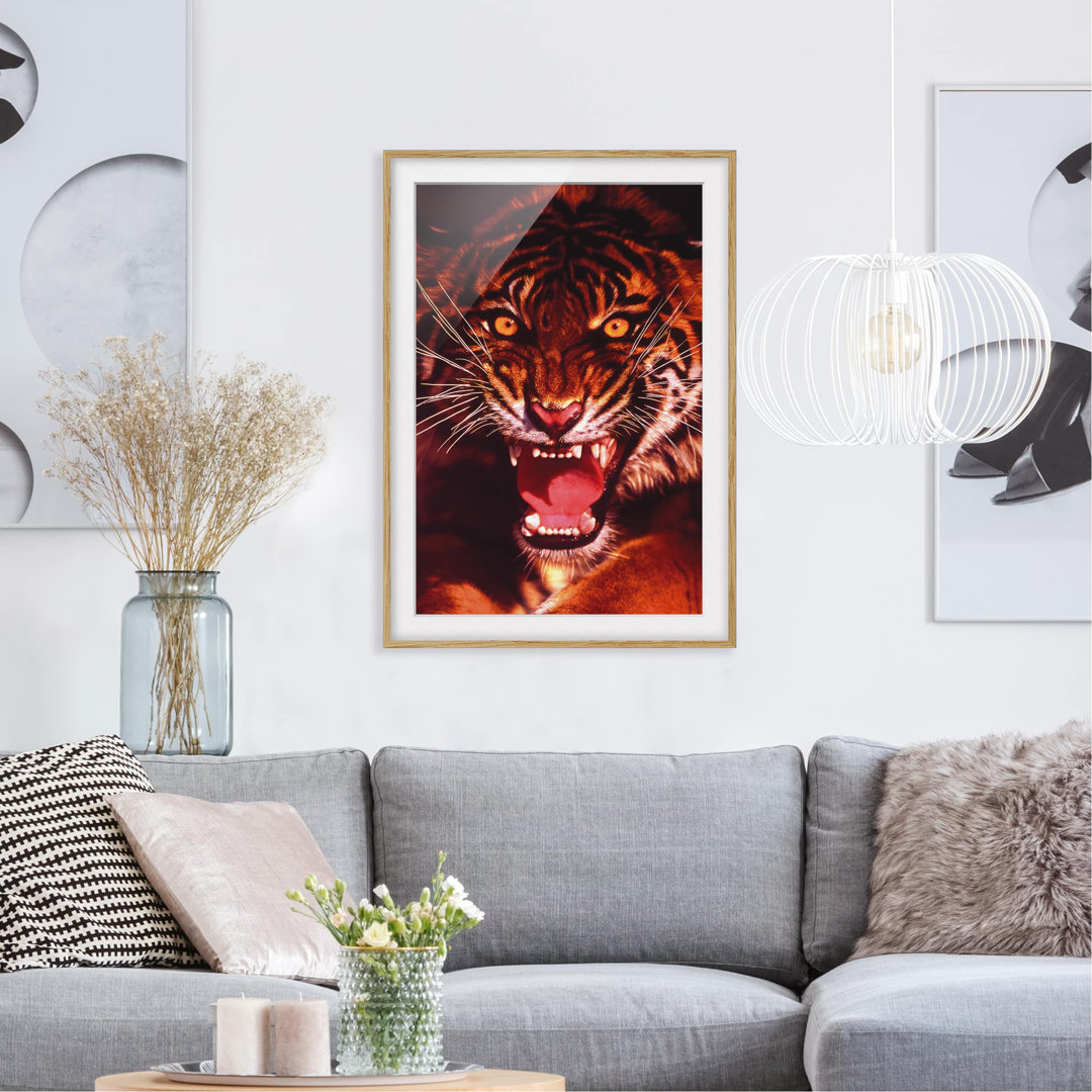 Gerahmtes Poster Wild Tiger