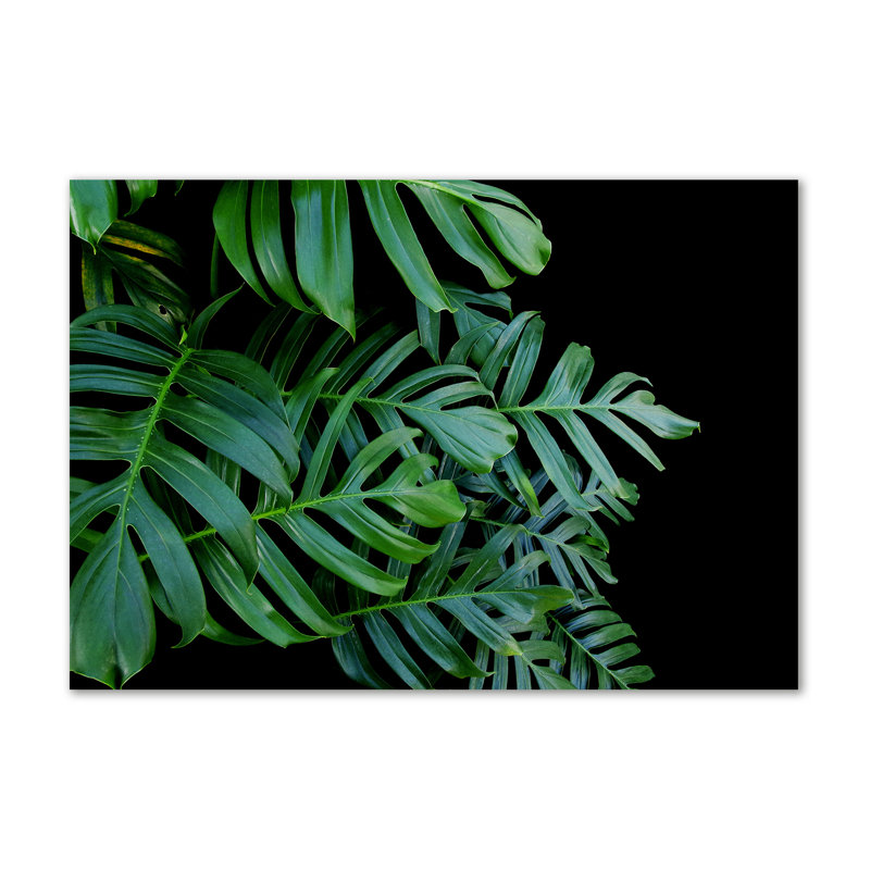 Monstera - Wrapped Canvas Print