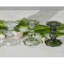 Glass Scalloped Candlesticks-755868917