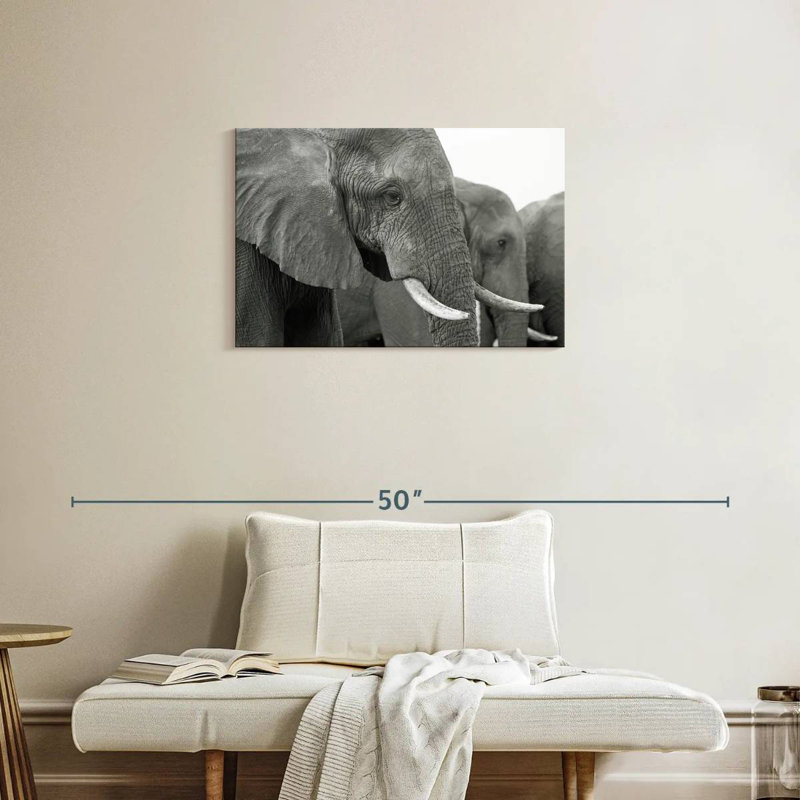 Brampt Elephant Ivory Tusks