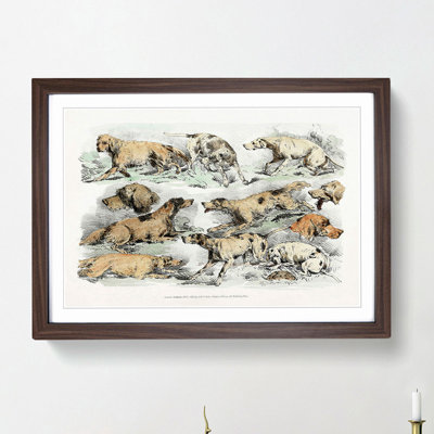 Illustration of Hounds by Henry Alken - Picture Frame Painting Print