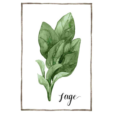Aquarelle herbes VI