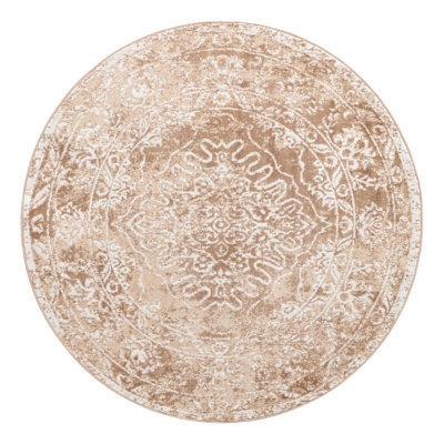 Oriental Indoor Rug