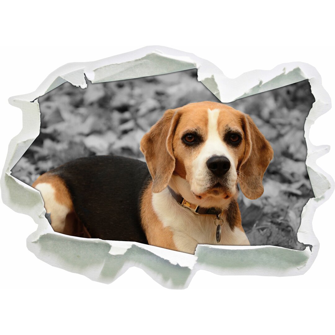 Kleiner Beagle spielt im Laub Wandaufkleber