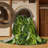 Machine Washable Nature Green Area Rug