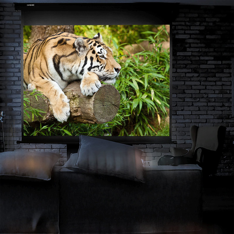 Symple Stuff Manual Projector Screen Projector Screen
