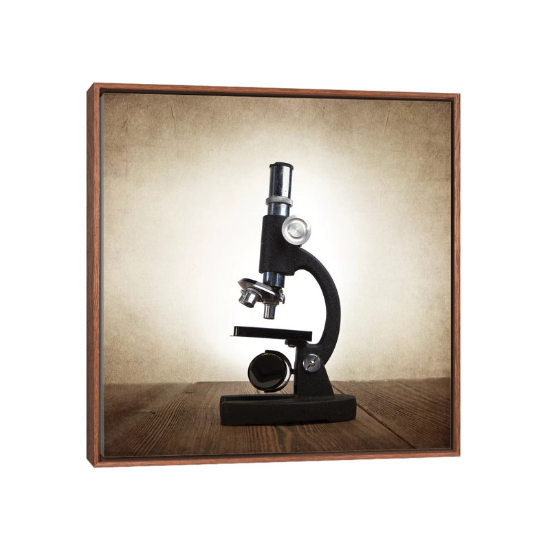Microscope - Print on Canvas, 93.98 cm H x 93.98 cm W, Classic Brown Wood Framed