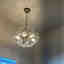 Photos des clients 1 de 1