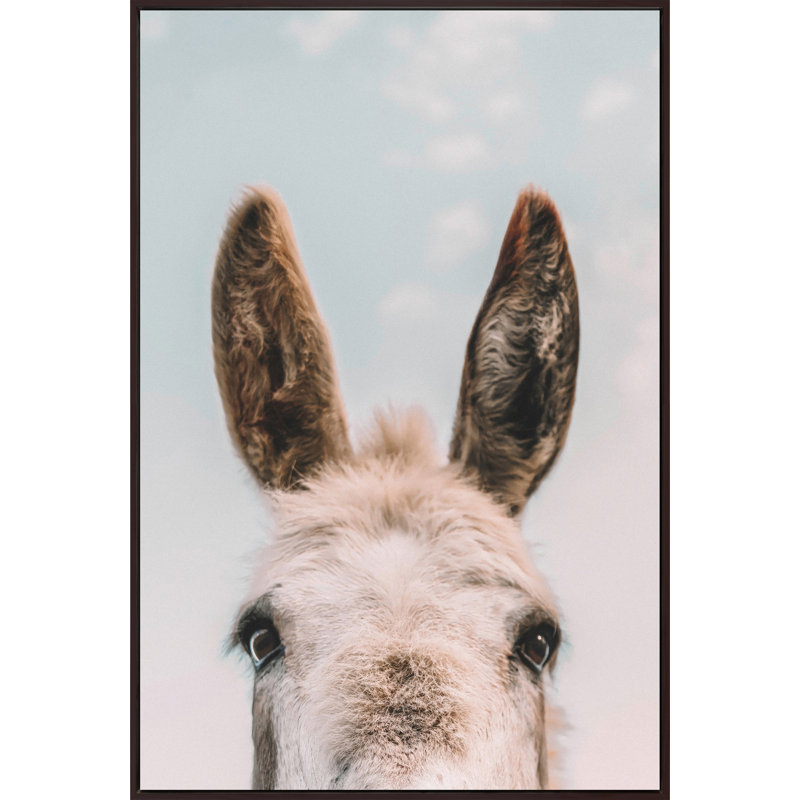 Downward Facing Donkey Canvas Wall Art